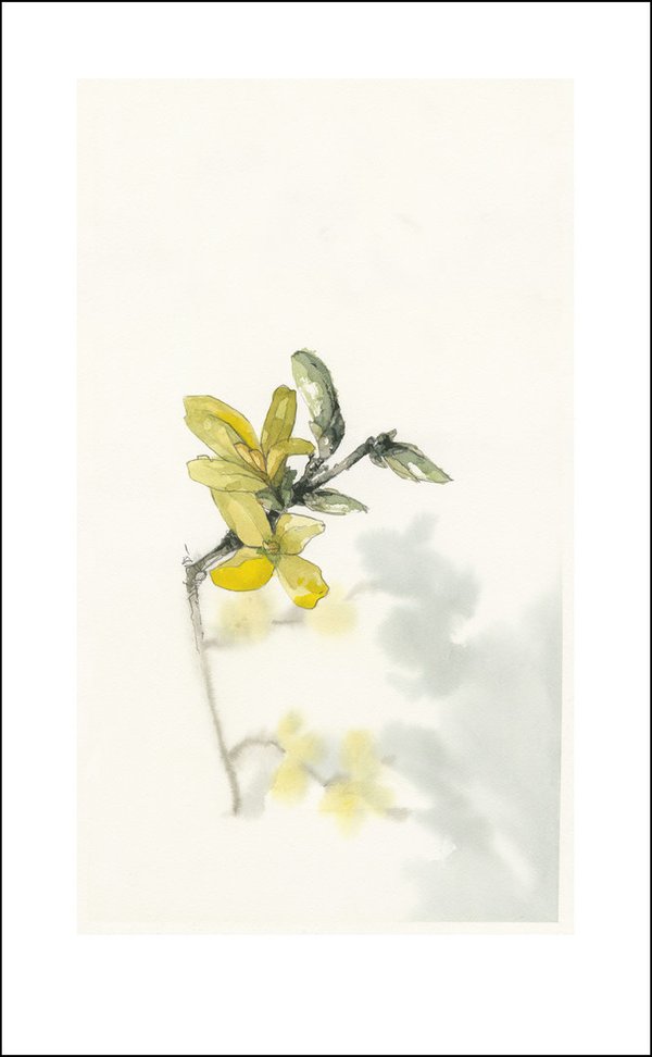 Triptychon Blossoms - 3 Kunstdrucke mit Blütenmotiven